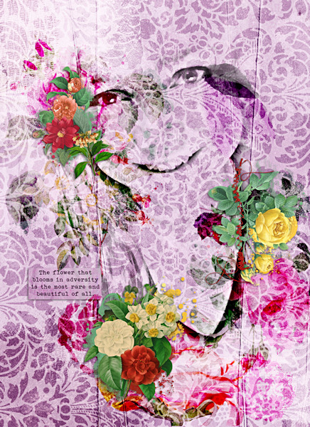 PaulaKesselring_TeaRose_an