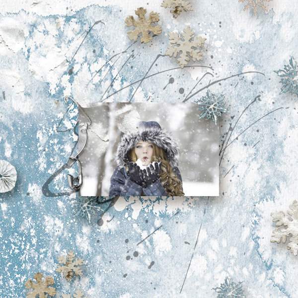 PaulaKesselring_Winterland