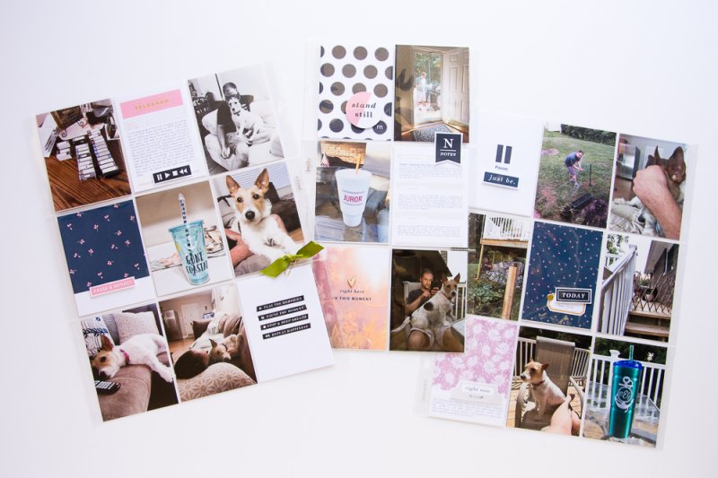 Pause Collection - 9x12 Pocket Page Spread