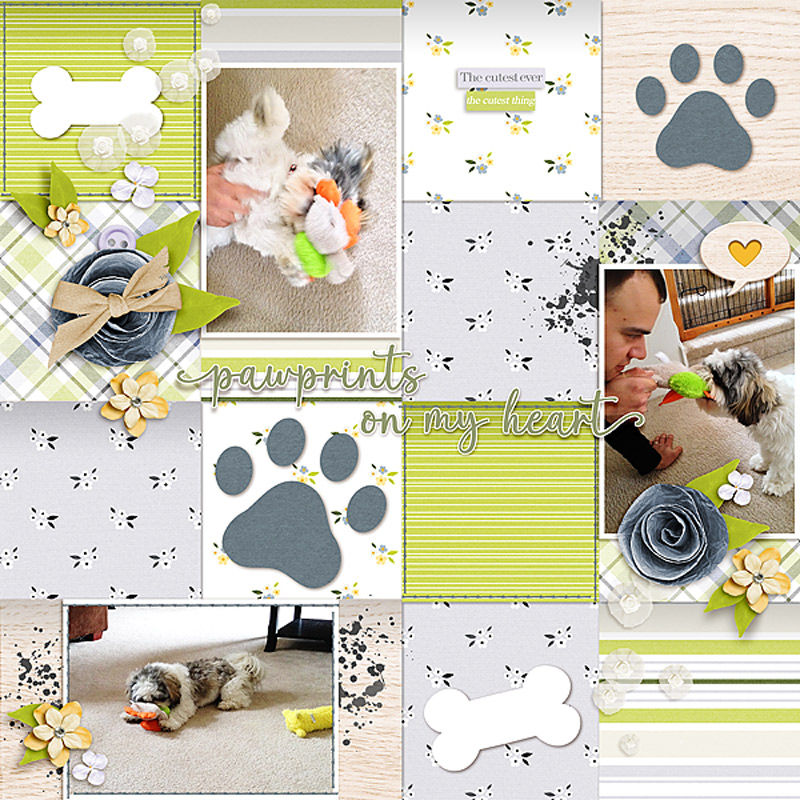 Pawprints on my Heart