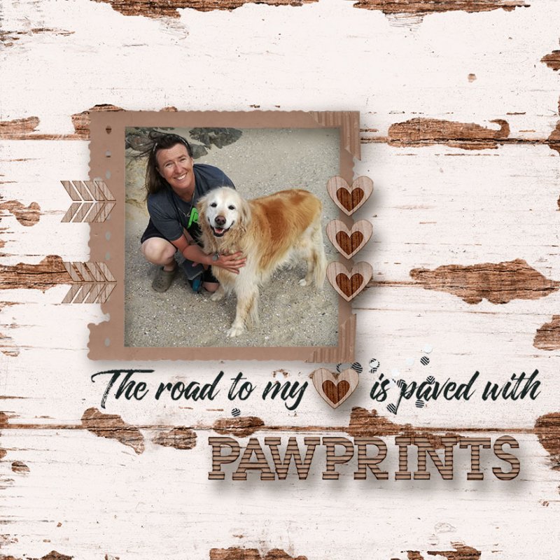 Pawprints