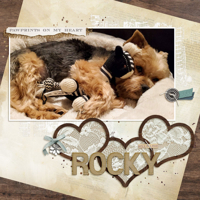 pawprints