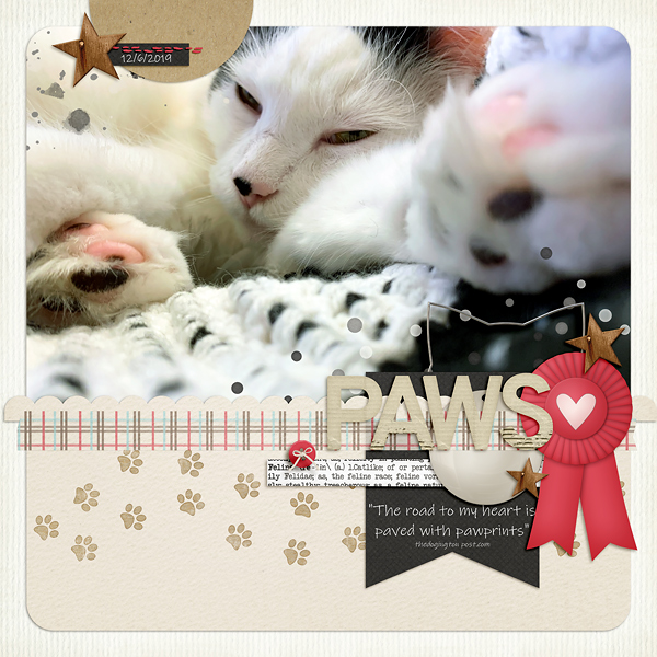 Paws