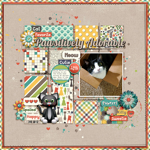 Pawsitively Adorable - January 4: Change Your View (Photography Challenge)