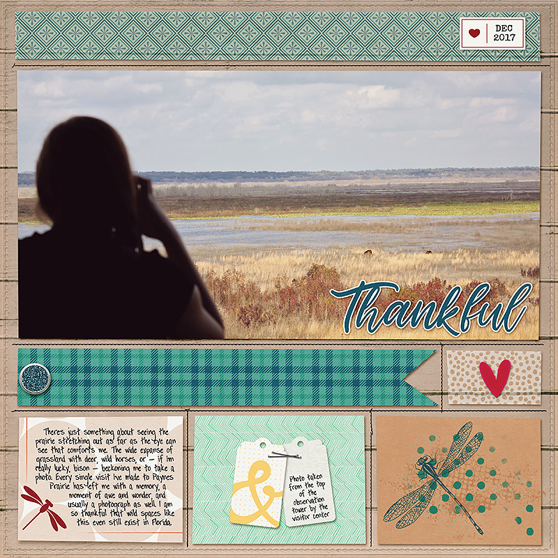 Paynes Prairie