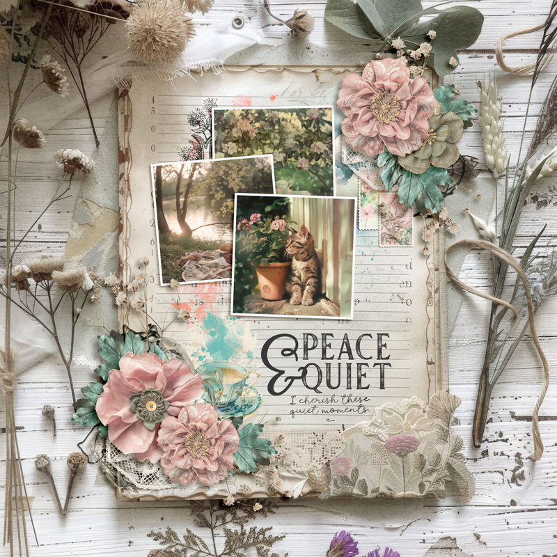 Peace & Quiet