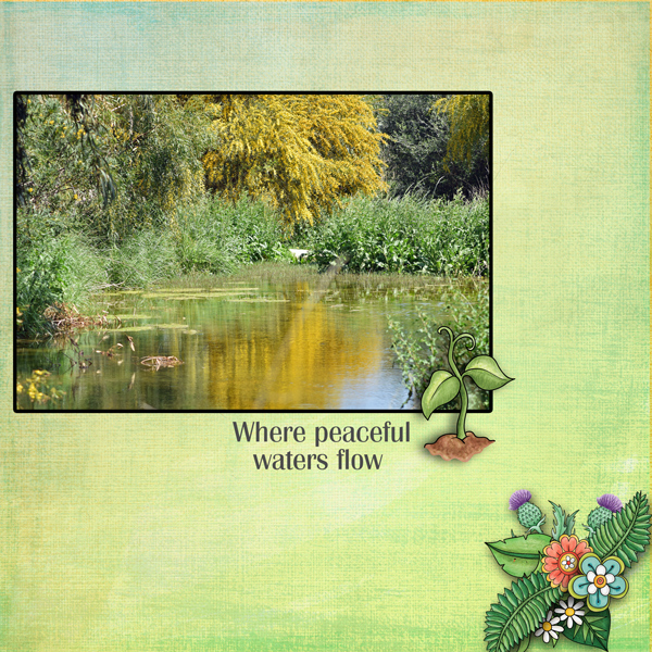 Peaceful-waters
