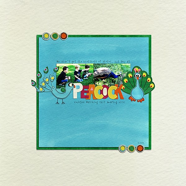 Peacock