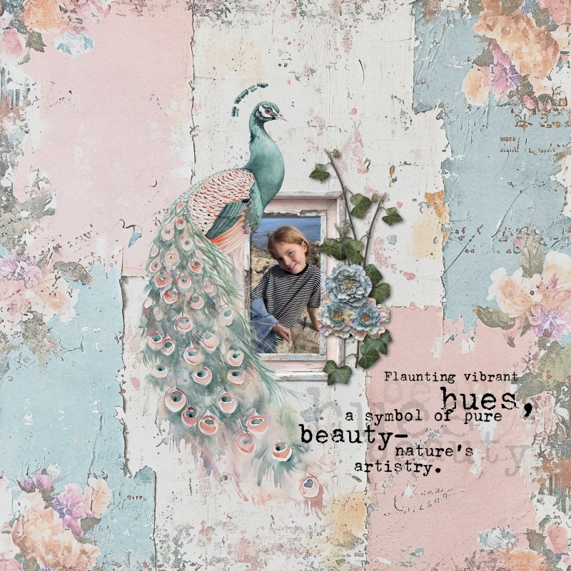 Peacock