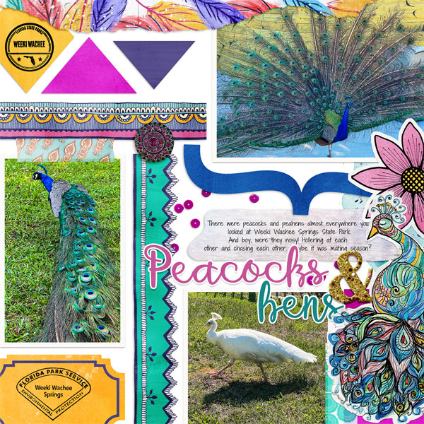 Peacocks & Hens