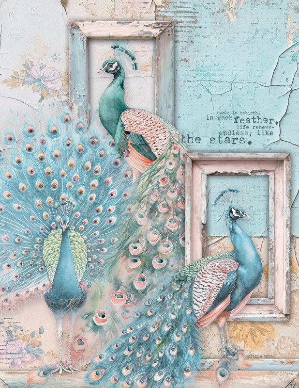 Peacocks_Frames