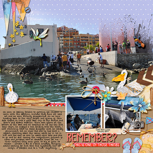 Pelicans