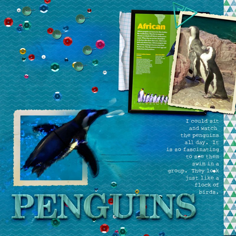 Penguinspsd