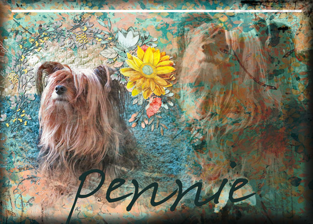 Pennie