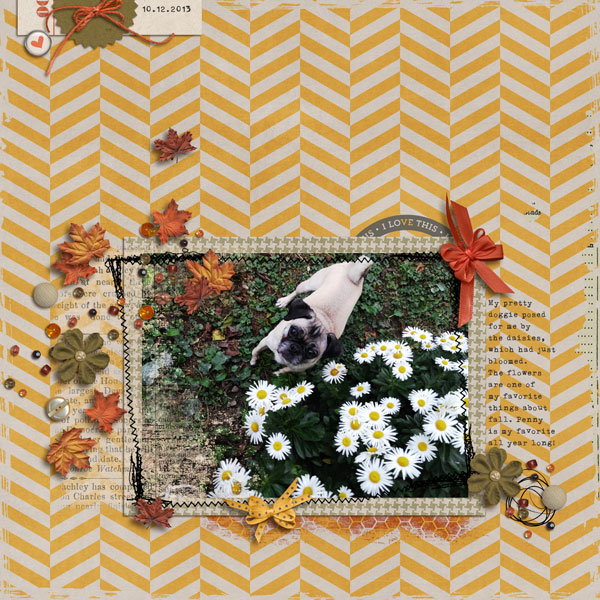 Penny & Daisies