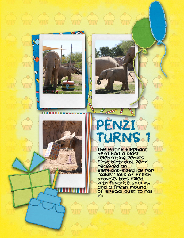 Penzi turns 1