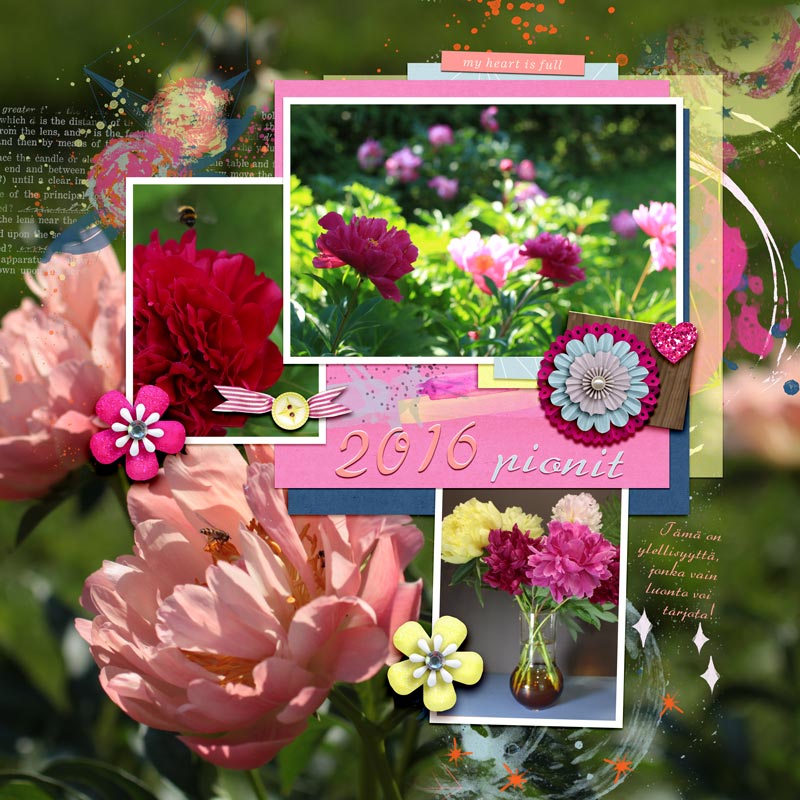 Peonies from Last Year