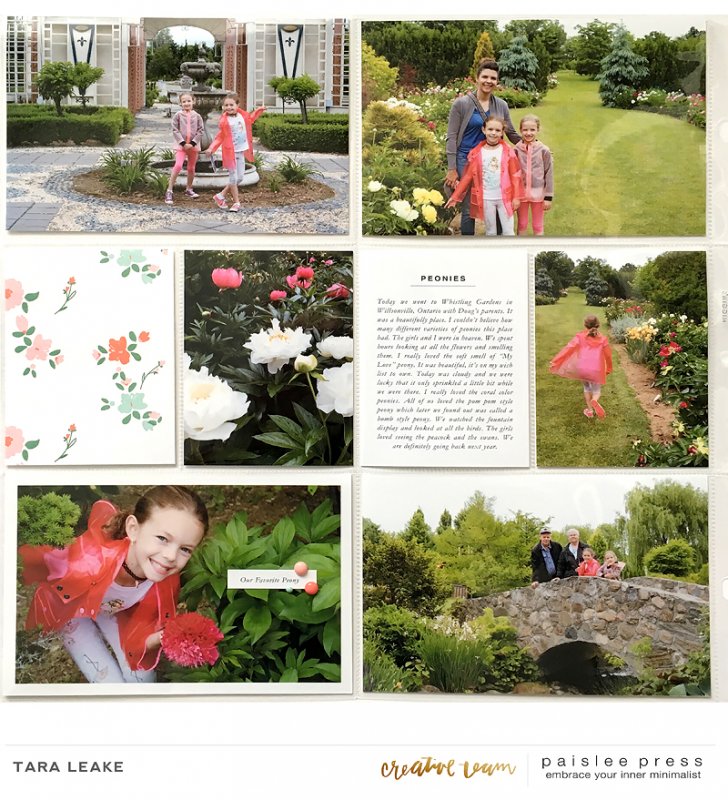 Peonies Left