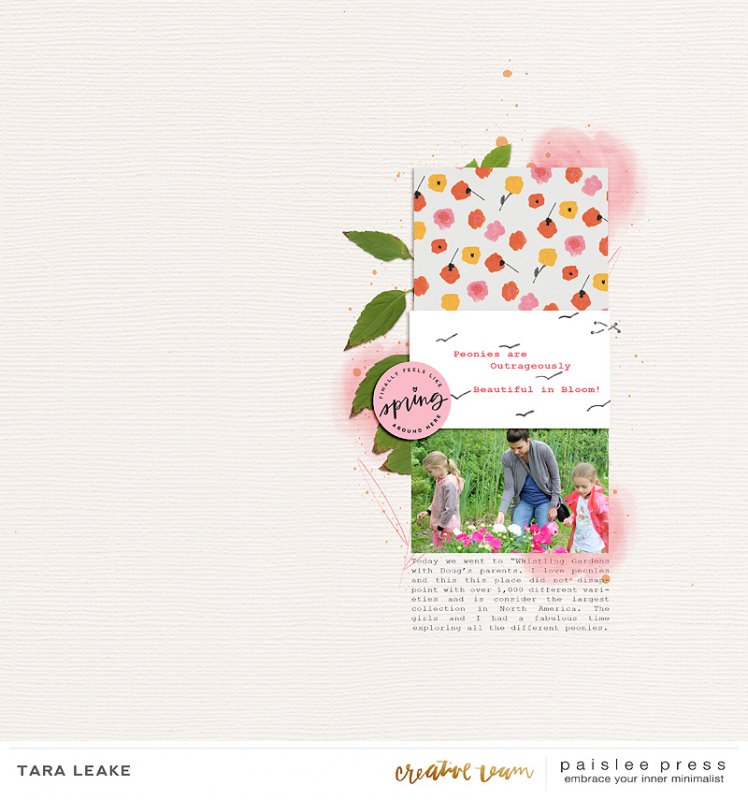 Peonies