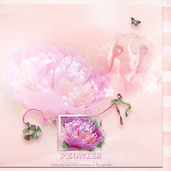 Peonies