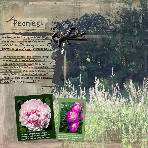 Peonies