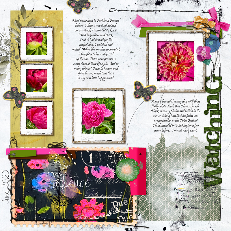 Peonies