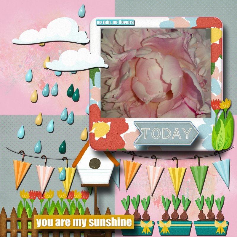 Peony Love
