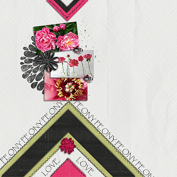 peony love