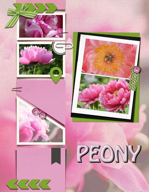 Peony