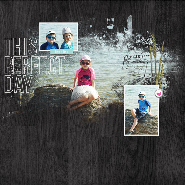 Perfect Day