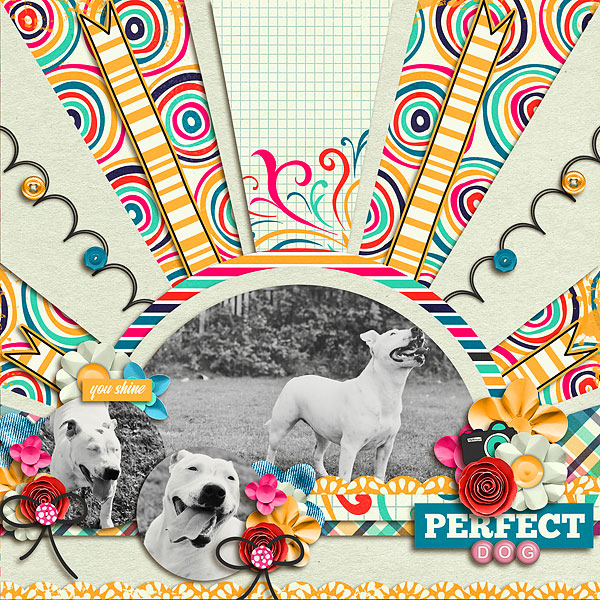 Perfect Dog