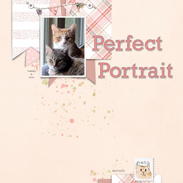 Perfect Portrait