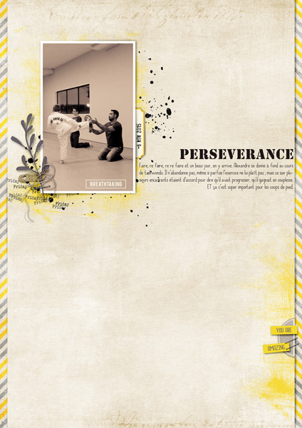Perseverance