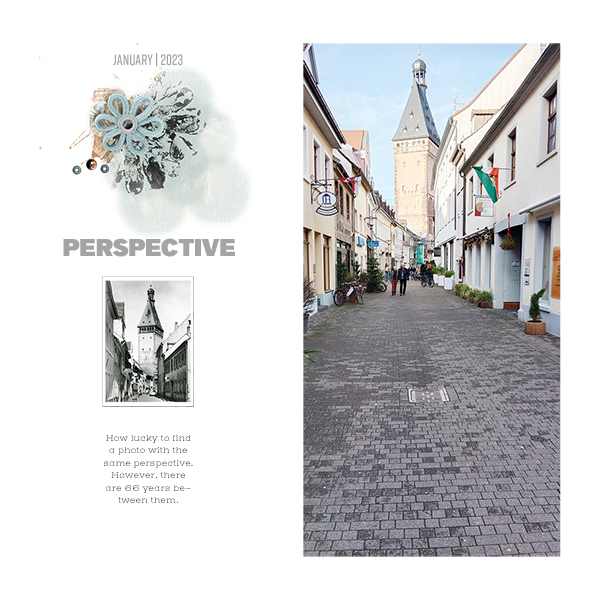 perspective