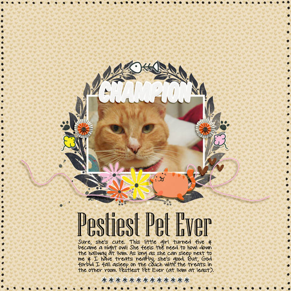 Pestiest pet ever!
