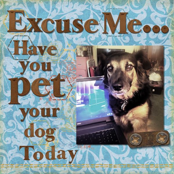 Pet me First