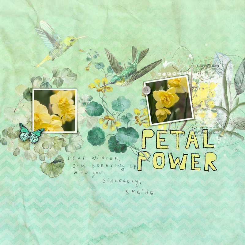 petal-power