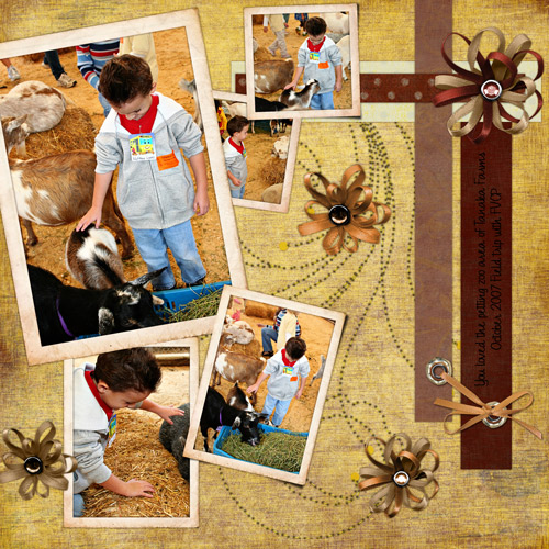 Petting Zoo
