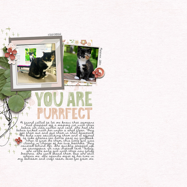 PF-Day2-Purrfect