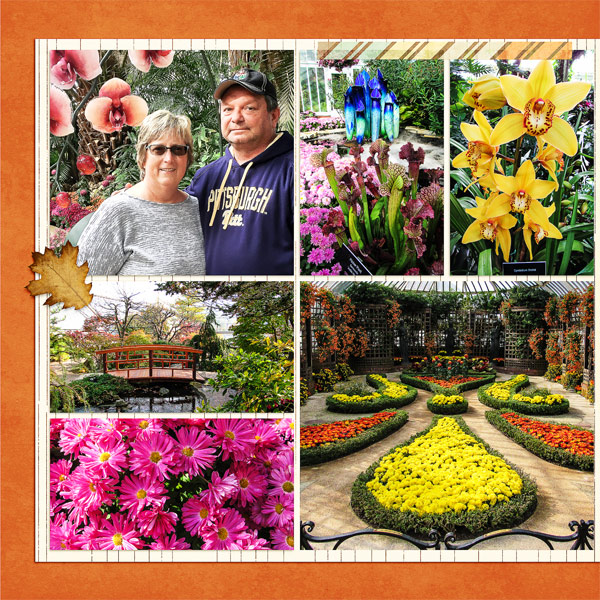 Phipps Conservatory, Autumn Flower Show 2017_left
