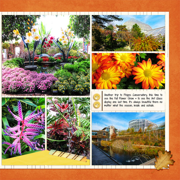 Phipps Conservatory, Autumn Flower Show 2017_right