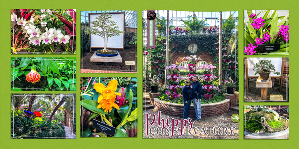 Phipps in Winter