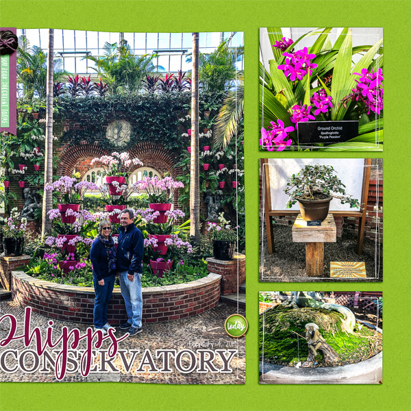 Phipps in Winter_right