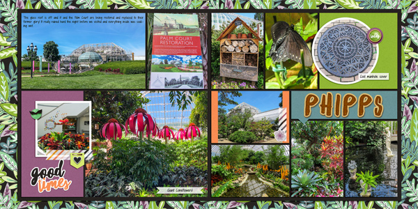 Phipps, June 2018