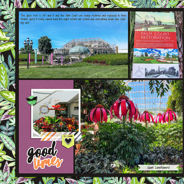 Phipps, June 2018_left
