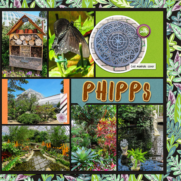 Phipps, June 2018_right