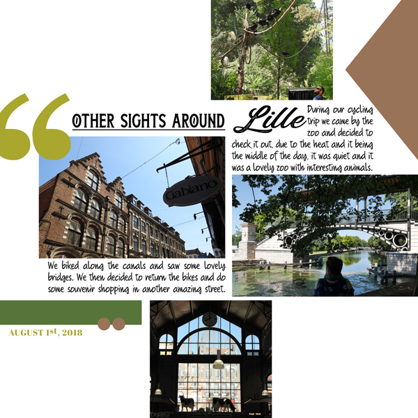 Photo Album LILLE 2018 - PAGE 8