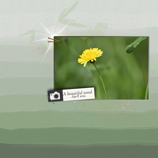 Photo-challenge-April