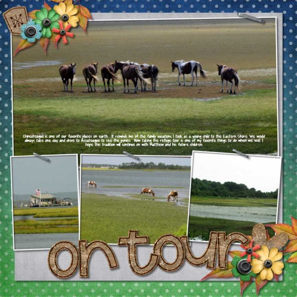 Photo Challenge Nov