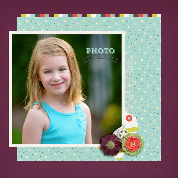 photo of the day